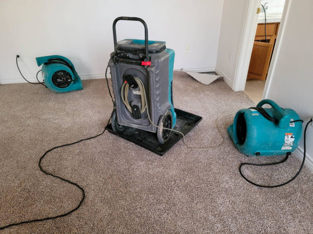Best Emergency water damage restoration  in Mount Holly Springs, PA