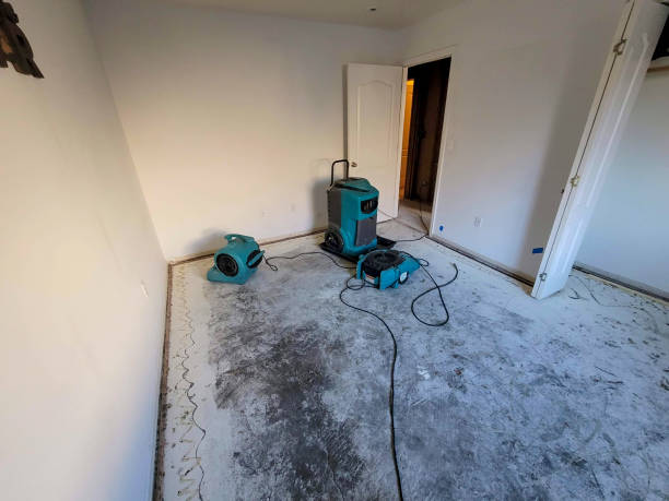 Best Basement water damage restoration  in Mount Holly Springs, PA