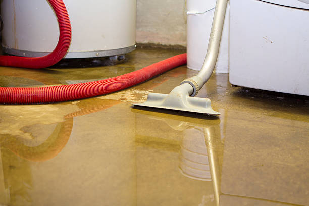 Best Water damage restoration near me  in Mount Holly Springs, PA