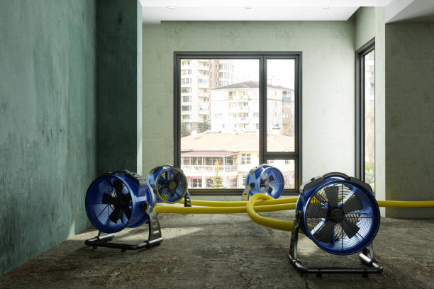 Best Water damage cleanup near me  in Mount Holly Springs, PA